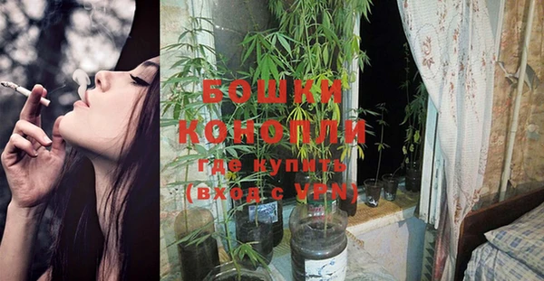 2c-b Белокуриха